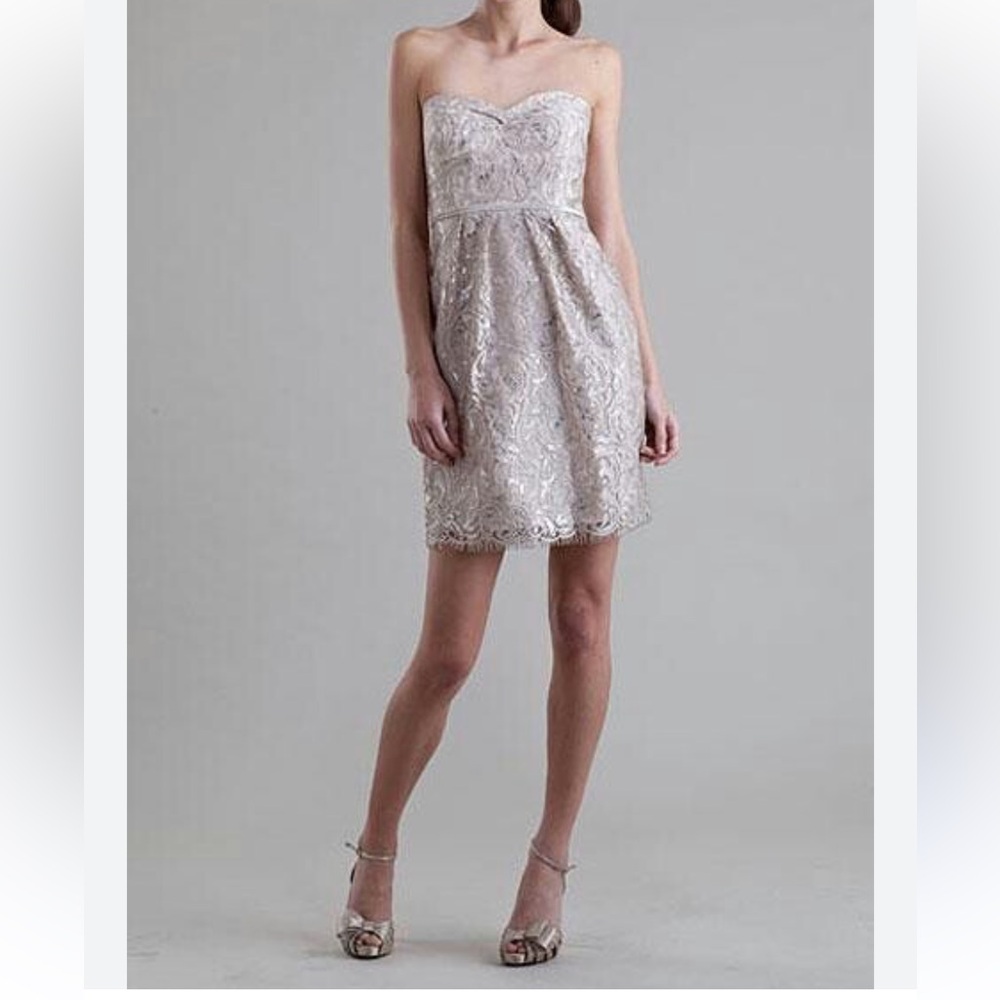 Jenny Yoo Strapless Silver Sequined Dress
